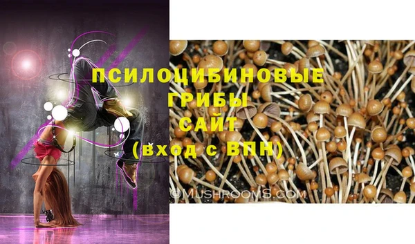 прущая мука Нязепетровск