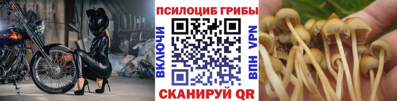 Псилоцибиновые грибы прущие грибы  купить  сайты  Аткарск 